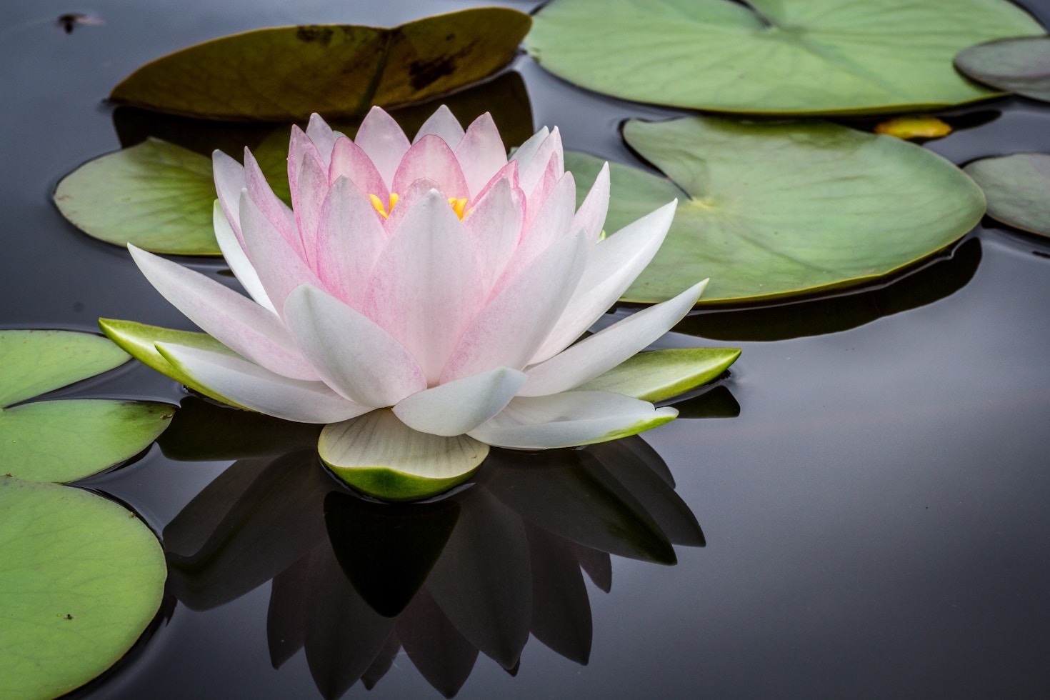 Why Storytelling is Key in Healing Grief